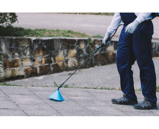 Campana conica Caja Matabi