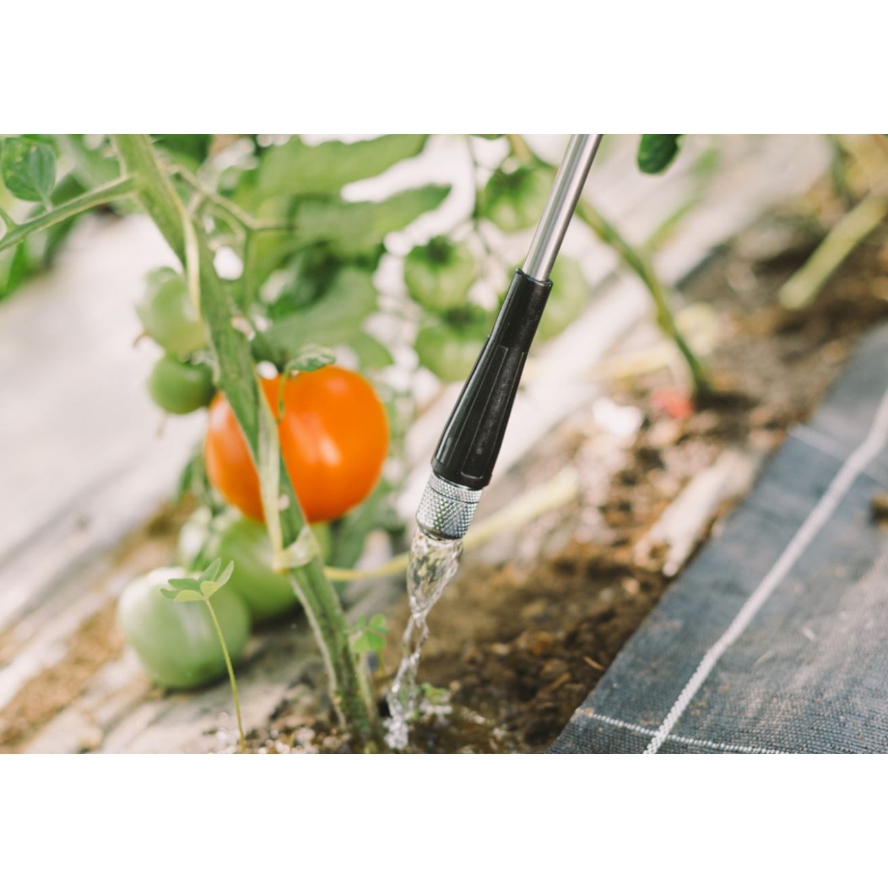 Dosificador Matabi  Evolution