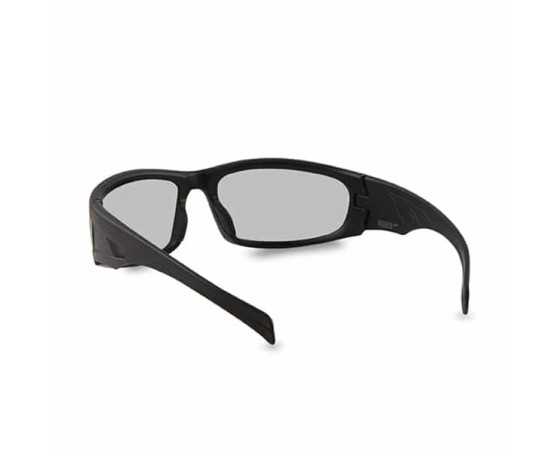 Gafas de seguridad Pegaso Fotocrom exteriores