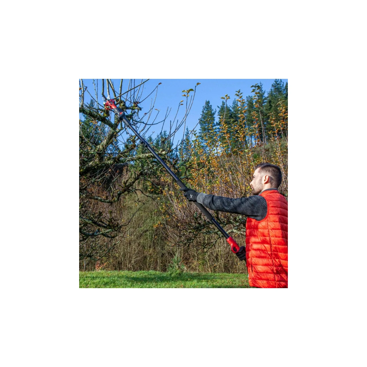 Pértiga telescópica Altuna AB37-PER220