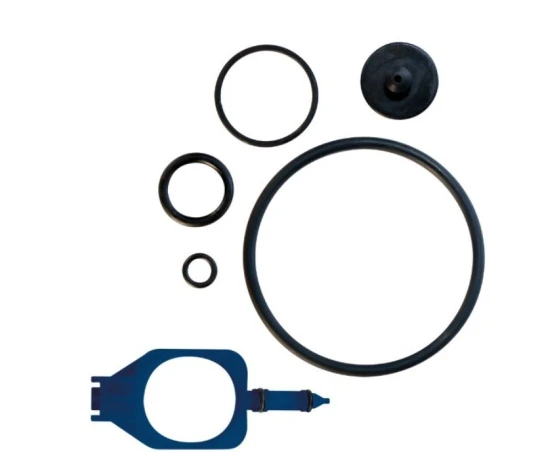 Kit mantenimiento IK ALK 1,5/ALK Pro 2/Foam Pro 2 ALK