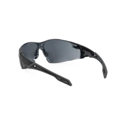 Gafas de seguridad solar Pegaso Omnis 205.02
