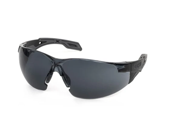Gafas de seguridad solar Pegaso Omnis 205.02