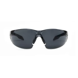 Gafas de seguridad solar Pegaso Omnis 205.02