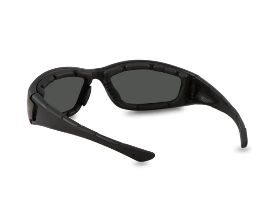 Gafas de seguridad Pegaso F1 Solar