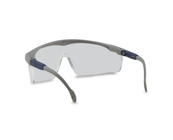 Gafas de seguridad Pegaso Basic 7
