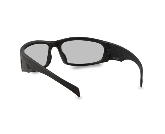 Gafas de seguridad Pegaso Fotocromática privilege