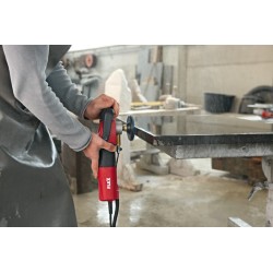 Pulidora de agua FLEX 1150W variable PRCD