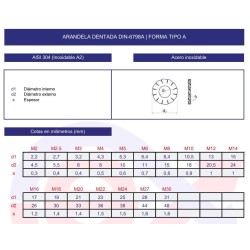 Arandela dentada DIN-6798A inoxidable