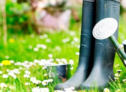 Las herramientas más efectivas para el cuidado de un jardín