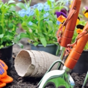 Qué herramientas se utilizan para la jardinería y cómo organizarlas