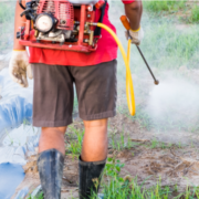 que es la fumigación ecológica