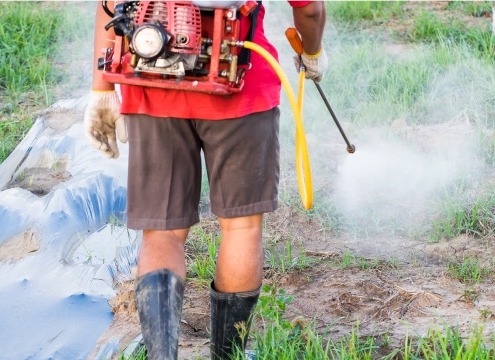 que es la fumigación ecológica