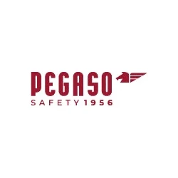 Pegaso